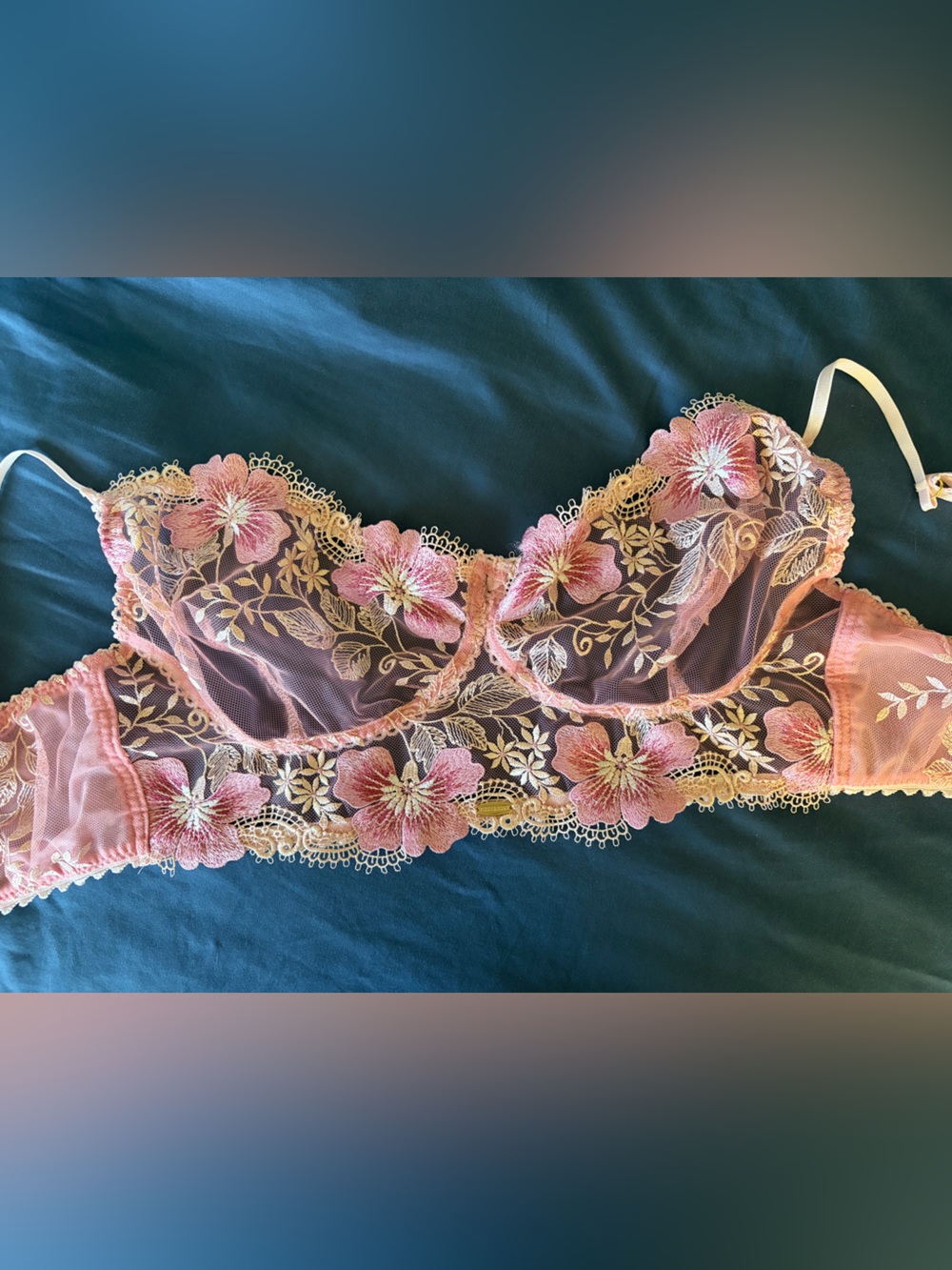 Floral Embroidered Sheer Bralette in Pink and Cream